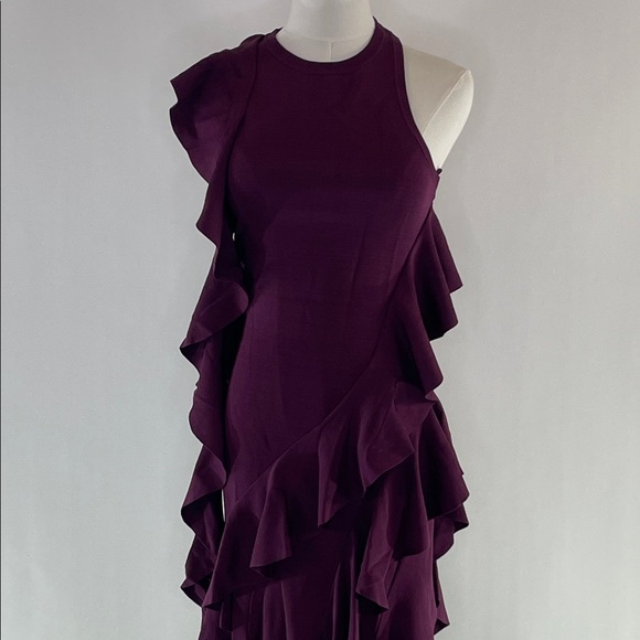SIMKHAI Wilda Ruffle Dress, XS - Picture 8 of 13